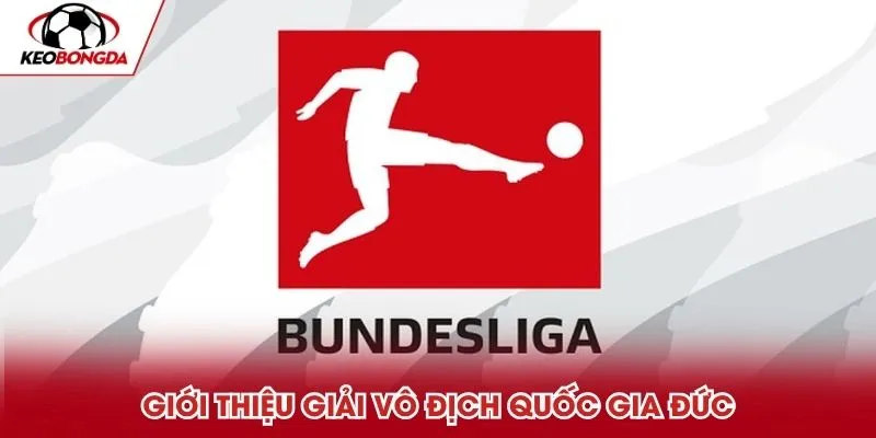 Thông tin cơ bản giải Vô địch Quốc gia Đức