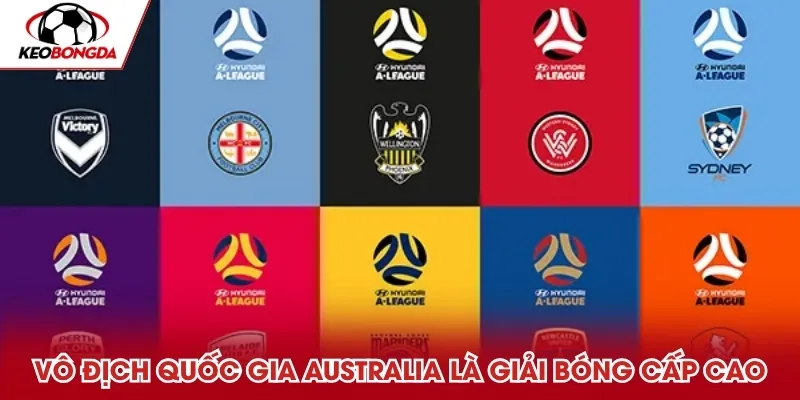 Vô địch Quốc gia Australia là giải bóng cấp cao