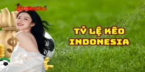 Khác biệt giữa kèo khác so với tỷ lệ kèo indonesia là gì?