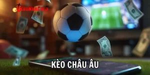 Đọc vị các ký hiệu 1x2 chuẩn không cần chỉnh cho tân thủ
