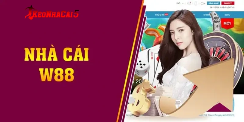 Nguồn App Và Thông Tin Tài Khoản