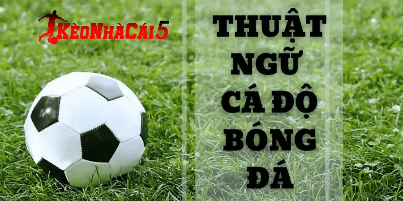 Áp dụng hiểu các thuật ngữ trong cá độ bóng đá hiệu quả