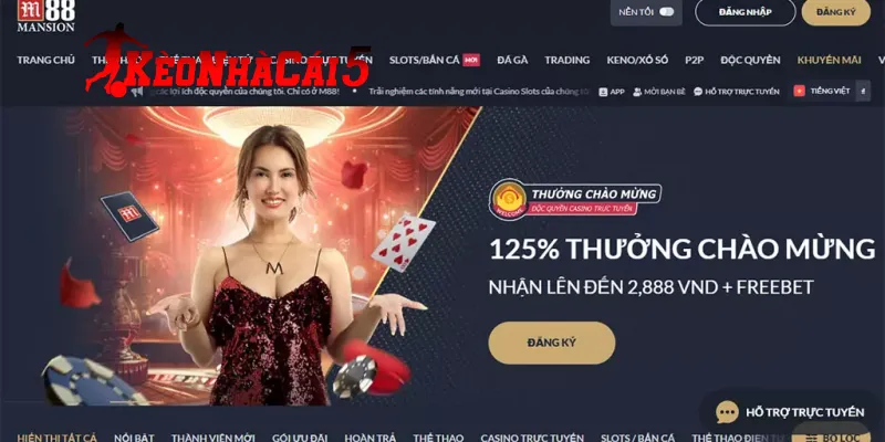 Dữ Liệu Và Yêu Cầu Tài Khoản