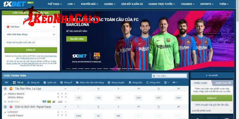Tỷ Lệ Và Phạm Vi Thị Trường