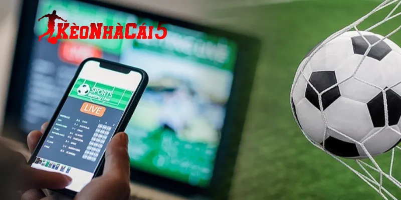 Hướng dẫn cách truy cập theo dõi thông tin tại trang