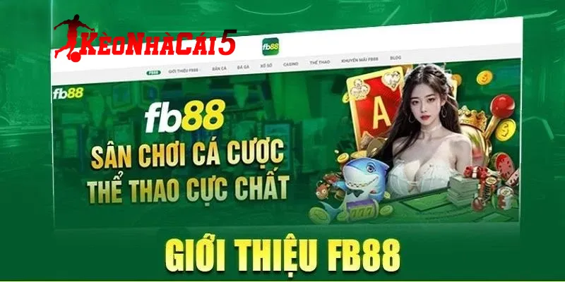 Vài nét về nhà cái FB88 uy tín hiện nay