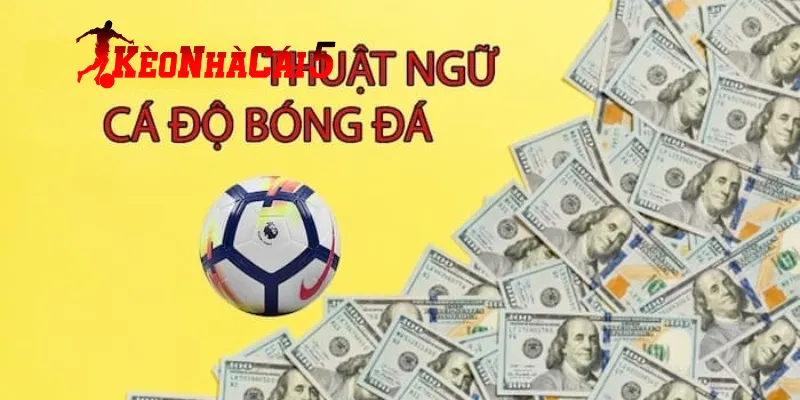 Các Nhóm Thuật Ngữ Bảng Kèo