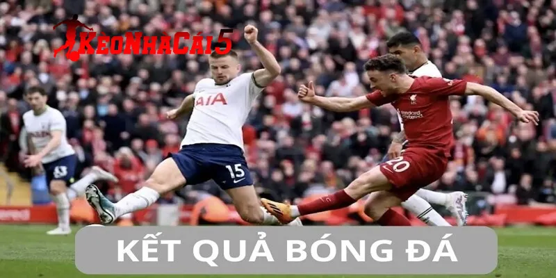 Vì sao nên theo dõi bảng kết quả bóng đá?